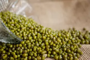 Gram Kokainu Cena